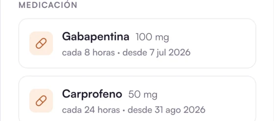 Medicación activa de la mascota, con dosis y frecuencia