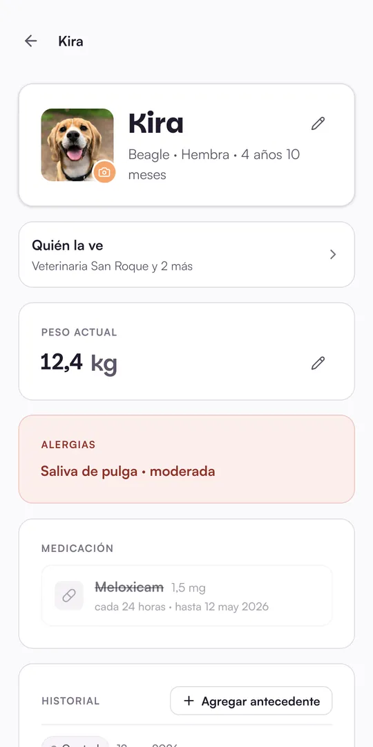 Ficha de Kira: quién la ve, peso actual, una alergia a la saliva de pulga y la medicación activa